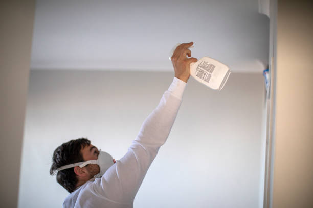 Best Office Mold Removal Services  in San Felipe, TX