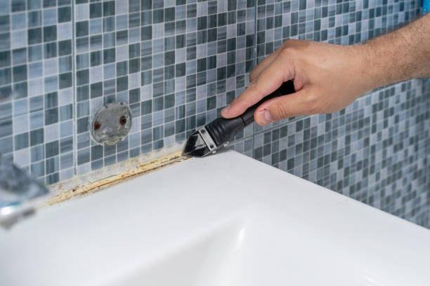 Best Office Mold Removal Services  in San Felipe, TX